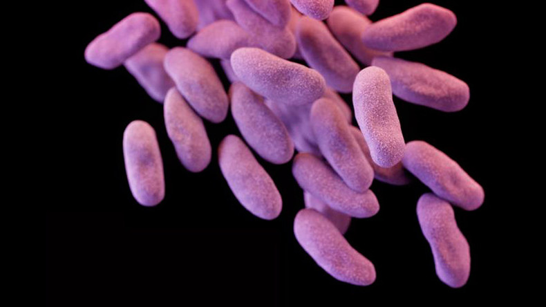 WHO urges quick development of antibiotics to combat superbugs, warns options are running out