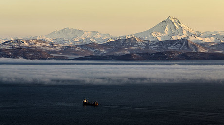 Cargo transit along Russia's Northern Sea Route expected to rise by 50% this year