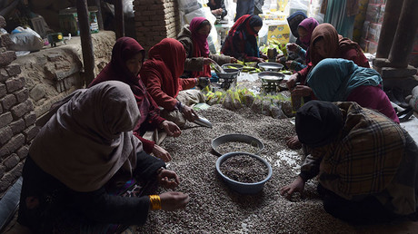 Taliban goes nuts, making millions selling pistachios