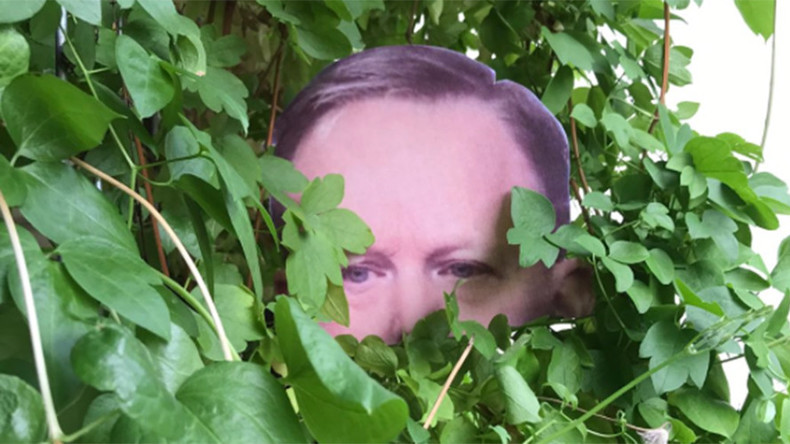 Pandemic of ‘Sean Spicer’ heads in garden bushes across globe