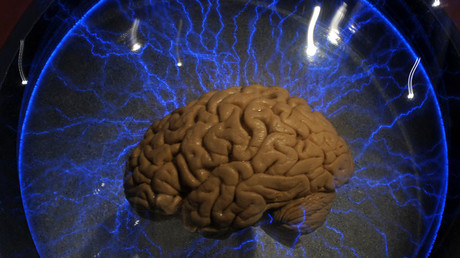 Scientists discover intelligence linked to 52 ‘smart genes’