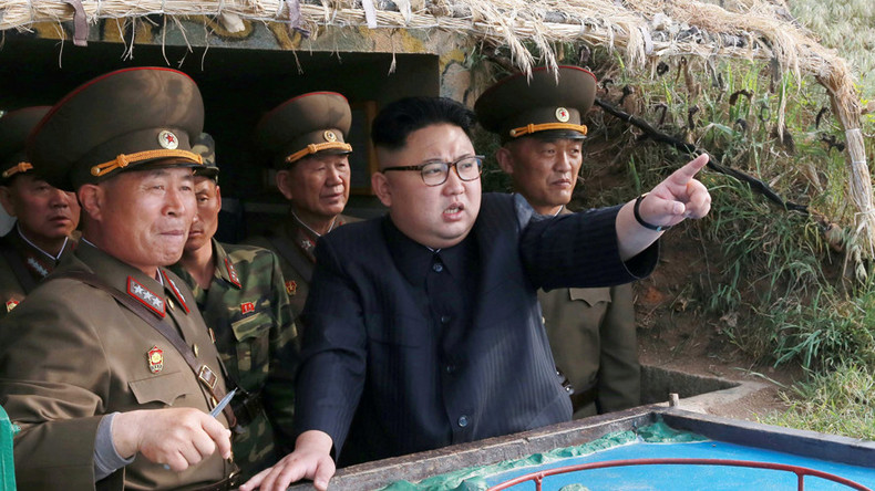 Former S. Korean President Park plotted to kill North Korean leader Kim Jong-un – report
