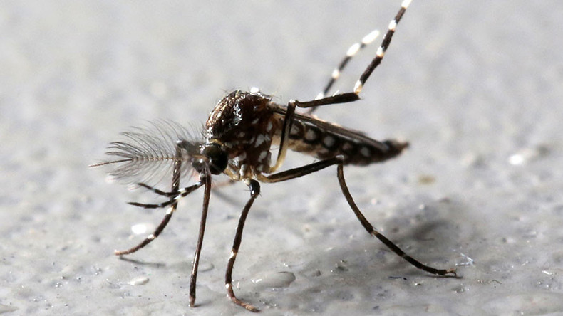 Google’s life science division to release 20mn infected mosquitoes in California 