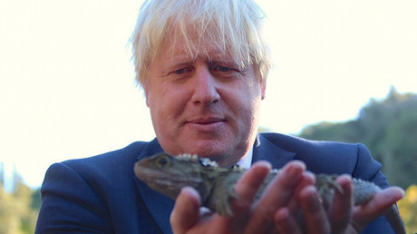 Boris Johnson plays down Tory leadership bid rumors... again