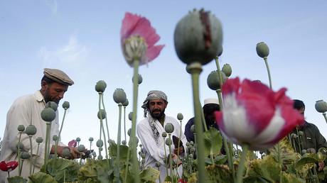 'It’s US baby, and I’m not proud of it - Afghanistan is world’s biggest drug dealer'