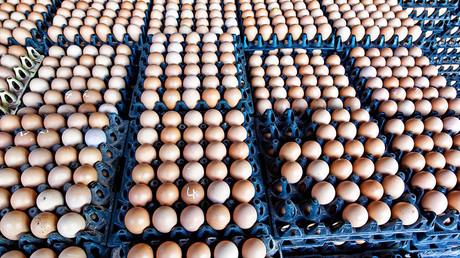 The yolk’s on you: Norway’s Olympic team overwhelmed with 15,000 eggs they didn’t order