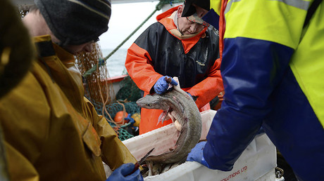 EU ‘sticking two fingers up at UK’ as it plans to steal fish before they reach British waters 