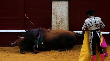 Bull attacks animal rights activists who invaded bullring (VIDEO)