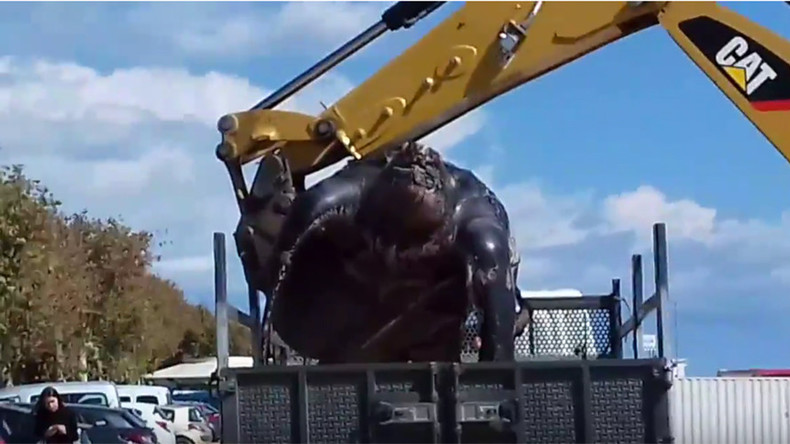 Gonna need a bigger crane: Enormous turtle found on Spanish beach (PHOTOS, VIDEOS)