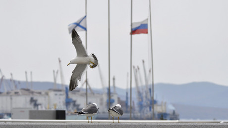 Vladivostok airport to become key transportation hub linking Russia and Asia