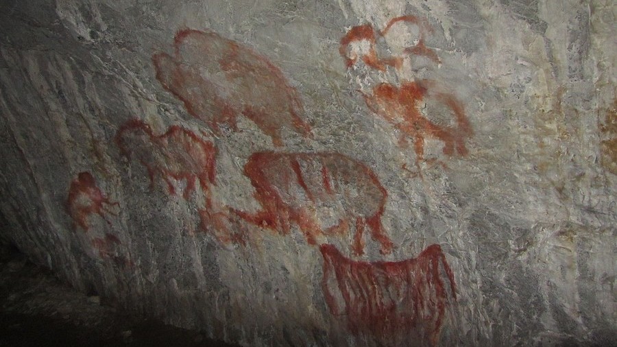 Prehistoric Russian camel painting could be 38,000 years old