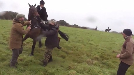 Woman on horseback filmed whipping anti-hunting activist with riding crop (VIDEO)