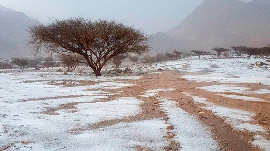 Freak hail & thunderstorms batter UAE desert (VIDEO)