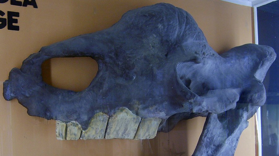 The Thing: Melting Siberian permafrost reveals terrifying creatures (PHOTOS)