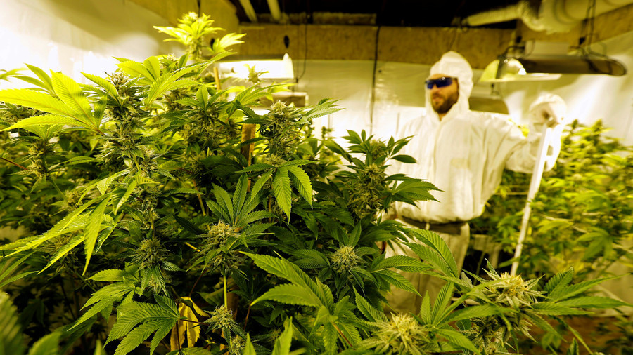 This map is dope! Here’s where weed is legal in the US (IMAGE)
