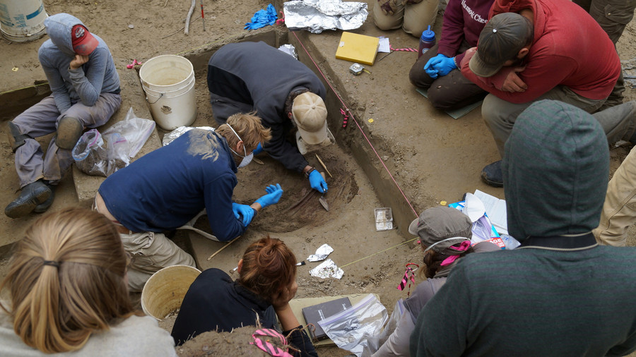 Sunrise girl: 11,500yo remains shed light on the Americas’ first settlers (PHOTO, VIDEO) 