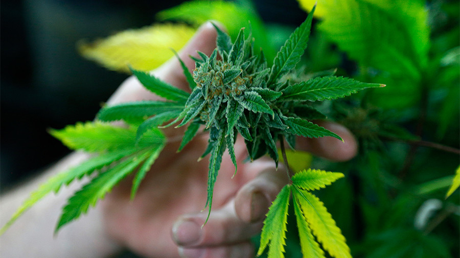 Vermont to become 1st state to legalize marijuana via legislature 