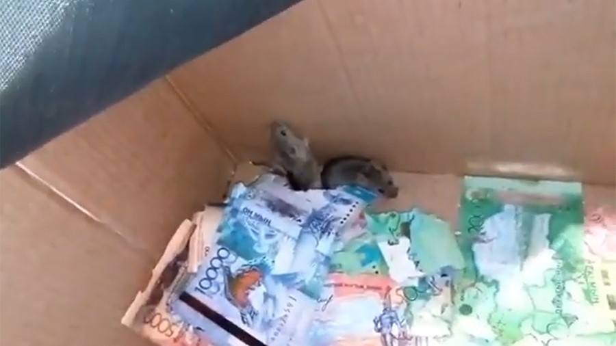 Mice chew through cash in Kazakh ATM (VIDEO)
