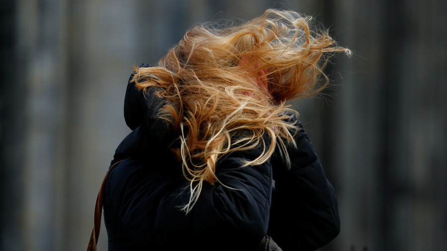 Pedestrians get blown away in shocking footage as 140kph gusts batter Netherlands (VIDEO)