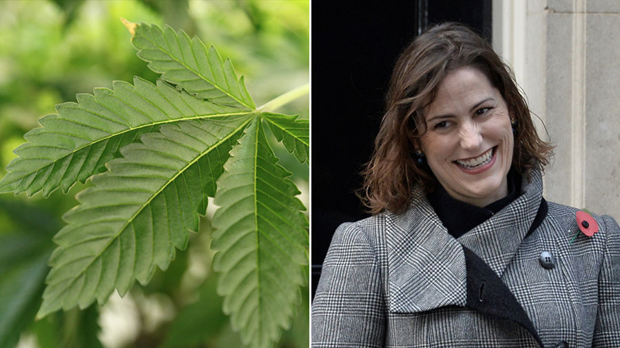 Tory MP tasked with regulating drugs has husband that grows 45 acres of cannabis