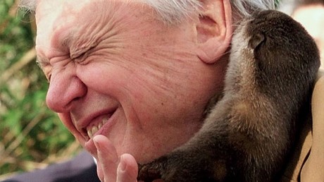 David Attenborough-themed raves go down a storm as Jungle Boogies sell out