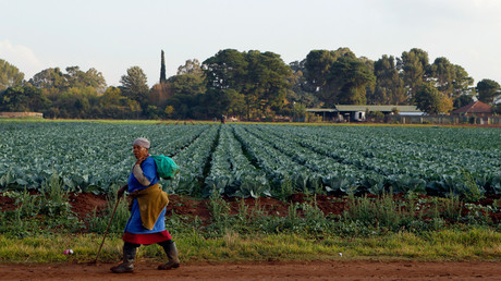 White South African farmers claiming persecution at home seek refuge in Australia