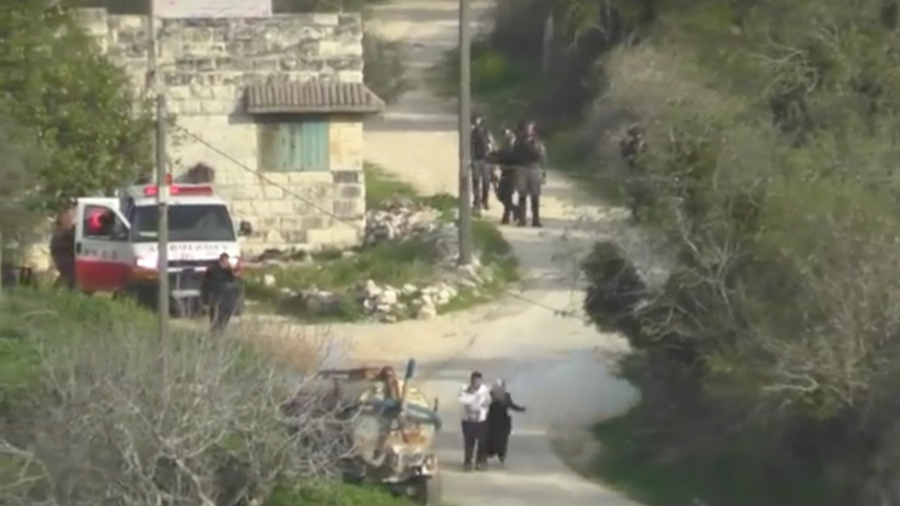 Israeli border officer throws stun grenade at West Bank couple & baby (VIDEO)