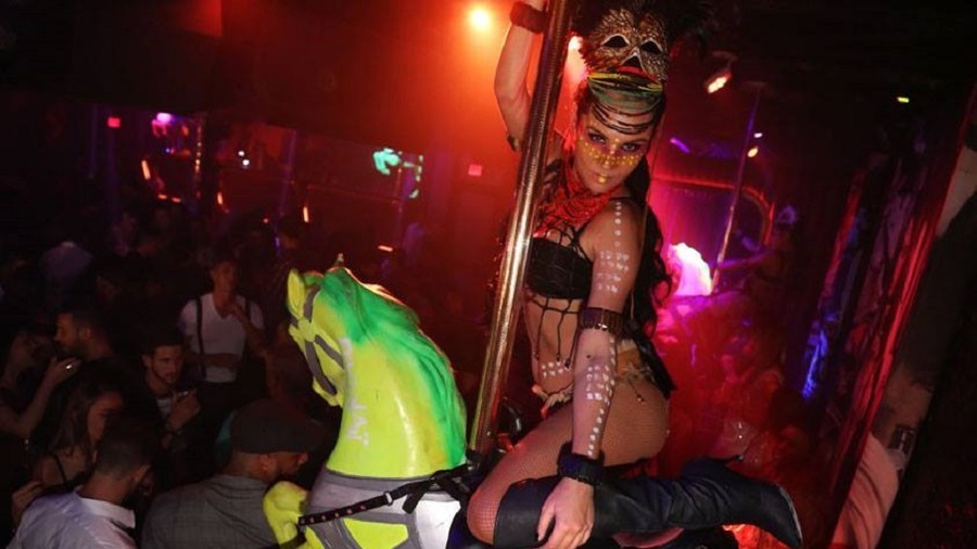 Miami nightclub shut down for shocking horse stunt (VIDEO)