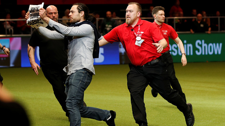 ‘Canine eugenics’: Chaos at Crufts dog show as ‘terrier-ist’ storms winner’s circle (VIDEO)