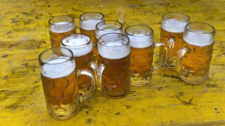 Beer buddies: Merkel sends Putin bottles of German booze, Russian leader reveals