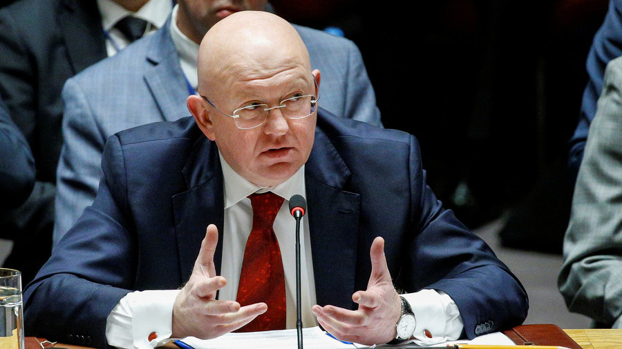 ‘Mutant fish in murky waters’: US brings global chaos & has no real friends, says Russia's UN envoy