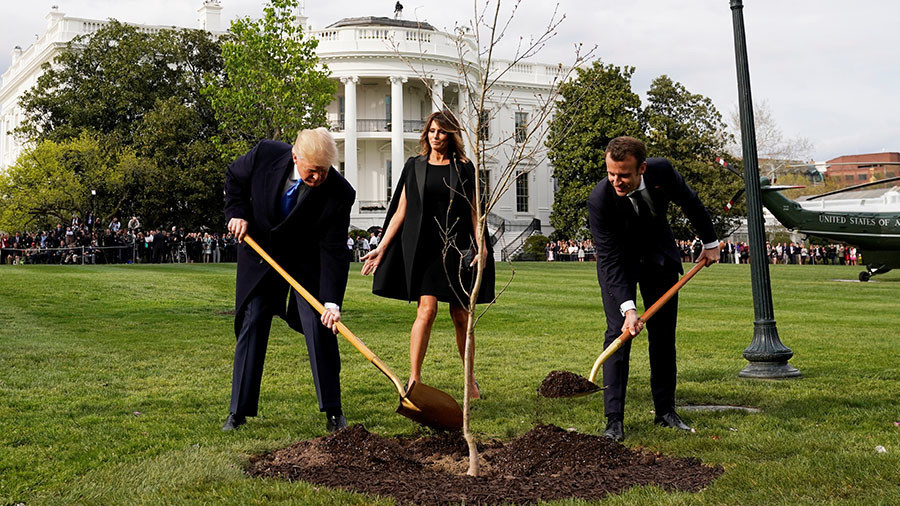 ‘Burying the body’: Twitter goes smart-ass about Trump & Macron planting tree