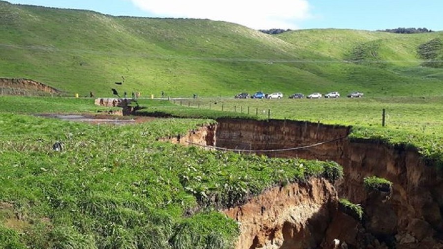Mini ‘Grand Canyon’: 6-story sinkhole opens up on NZ farm (PHOTOS, VIDEO)