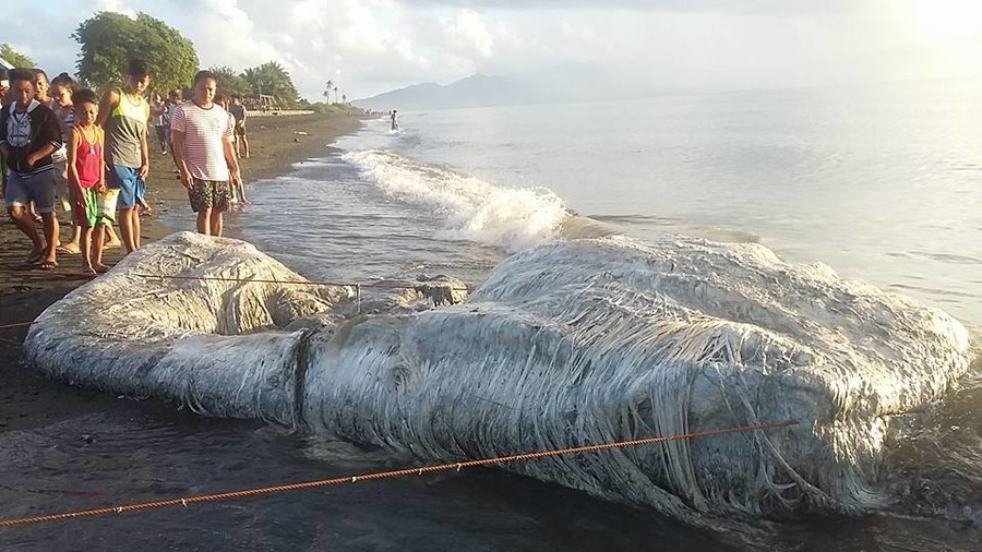 Horrific ‘hairy’ creature washes up on Philippine beach (PHOTOS)