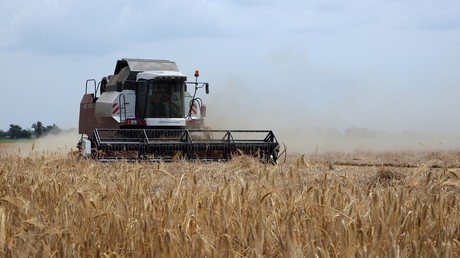 Russia boosts investment in Crimea's booming agriculture