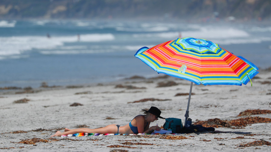 Maryland beachgoer impaled through chest by rogue umbrella