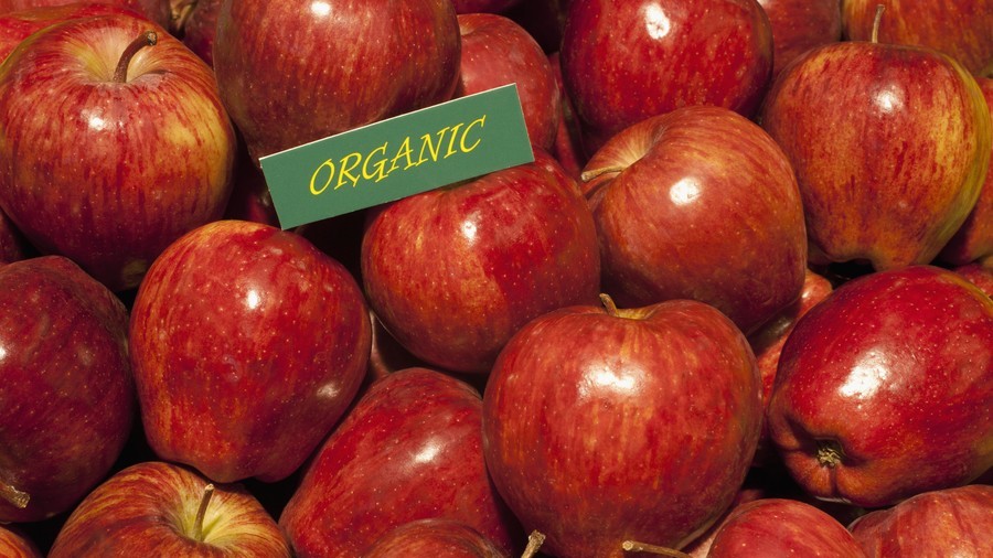 Russia sets standards for organic food production