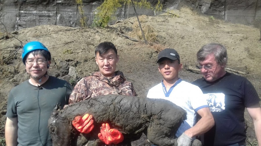 40,000-yo foal unearthed in Siberia’s ‘Gateway to the Underworld’ in perfect condition (PHOTO)