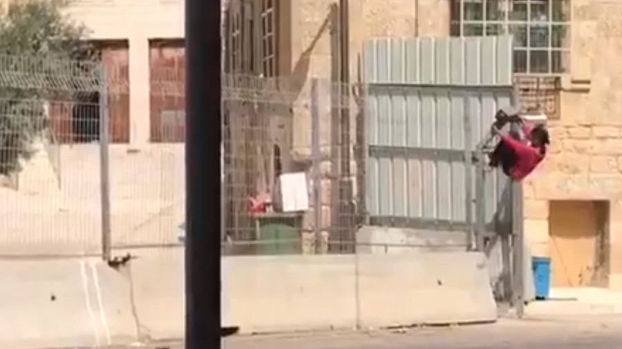 Height of resistance? Palestinian girl scales Hebron fence to reach home (VIDEO) 