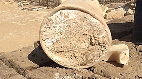 3,000yo Egyptian cheese infected with deadly disease unearthed at ancient burial site
