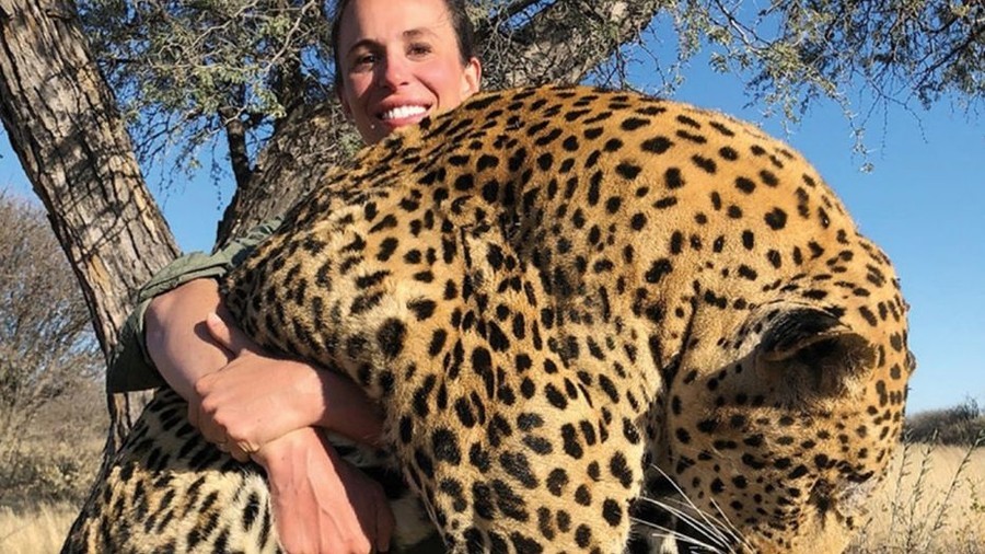 ‘Find this b***h’: Photo of dead leopard sparks outrage against big game hunter 