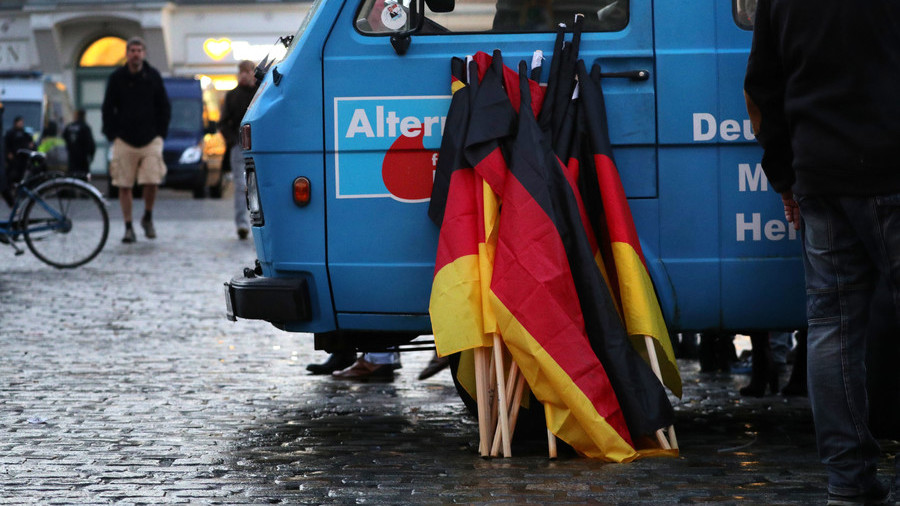 ‘Stop Islamization’: AfD supporters march through Germany’s Rostock amid massive counter-protests