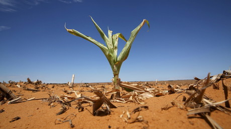 South Africa’s agriculture plunges amid uncertainty over land seizure plans