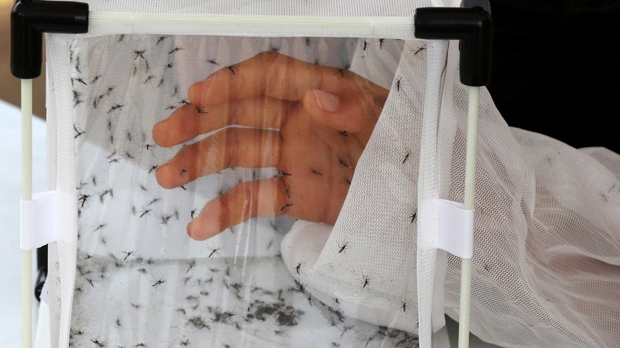 Defensive bioweapon? DARPA wants insects to spread genetically modified viruses… to ‘save crops’