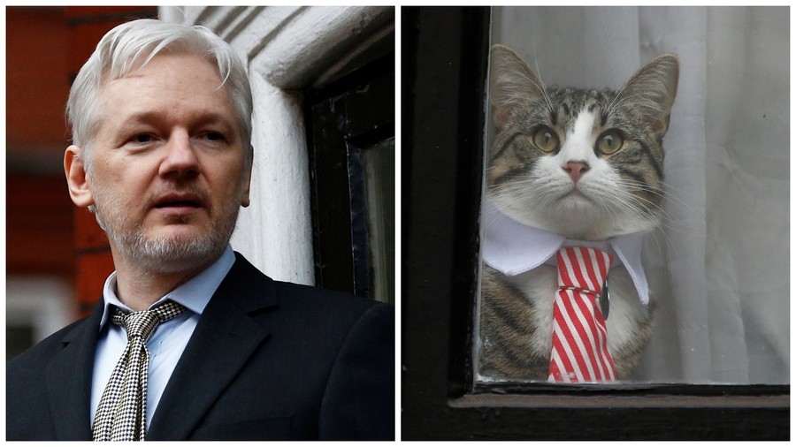 Ecuador wants Assange to stop talking politics, pay own bills & look after cat – leaked rules