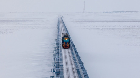 Top of the world: Russia to build world's northernmost railway in Arctic