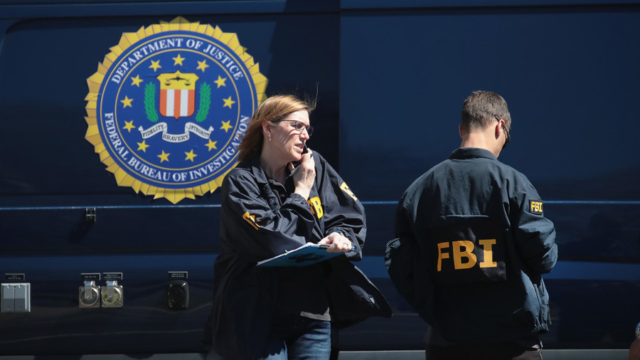 Russian journalist observing US midterms briefly detained by FBI