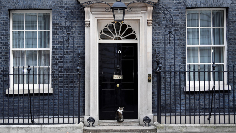 Policeman knocking at PM’s door to let the cat in could be the most British moment caught on live TV