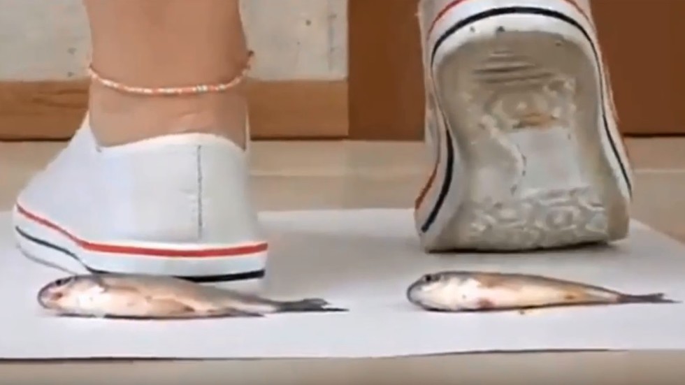 Models crushing small fish in CRUEL fetish video raise ire in St. Petersbur...