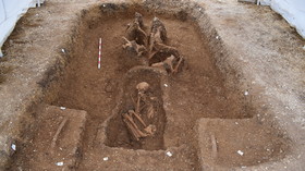 ‘Leaping out of the grave’: Rare Iron Age chariot with horses is an ‘unparalleled’ find